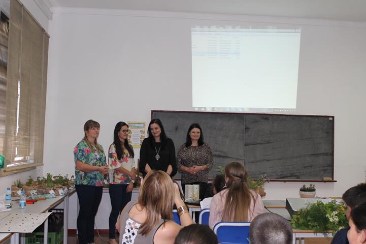 IMG 0928 Copy