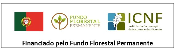 logo financiamento fundo florestal permanente