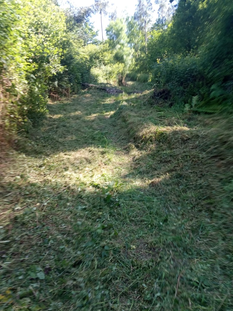 IMG 20200519 163239 Large