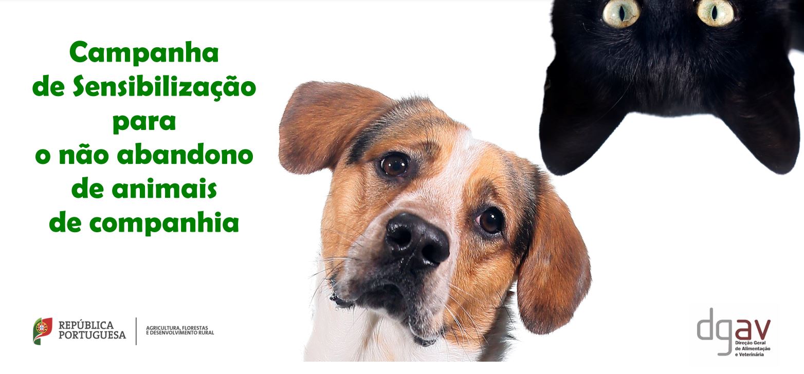 capanha sensibilizacao nao abandono de animais de companhia